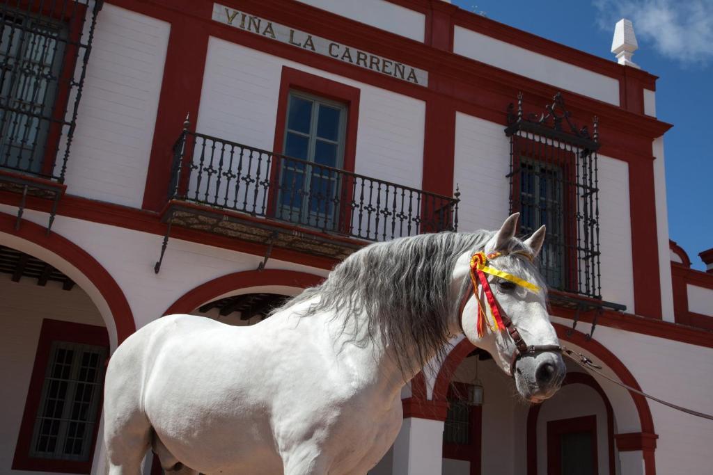 La Carrena Hotel Jerez de la Frontera Ruang foto